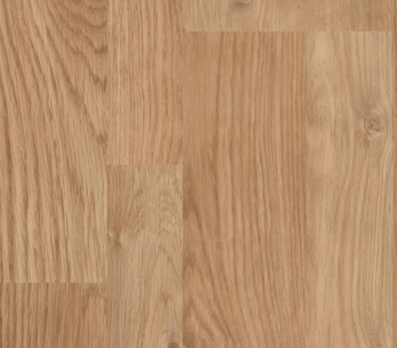 Elast 25 Static 1061